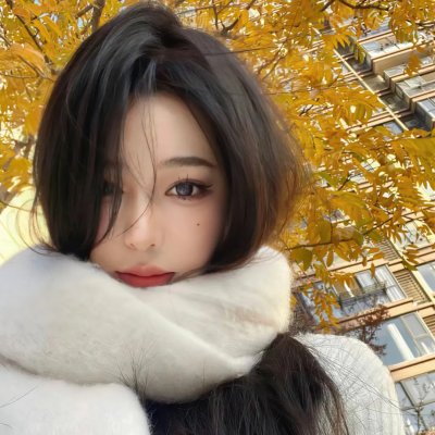 圣诞狗狗救援